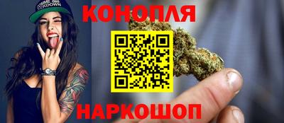 прущие грибы Можга