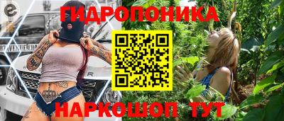 прущие грибы Можга