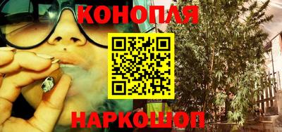 прущие грибы Можга
