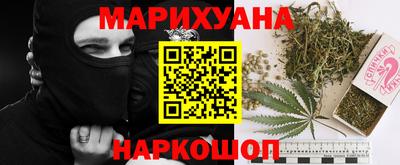 прущие грибы Можга
