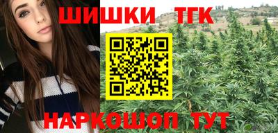 прущие грибы Можга